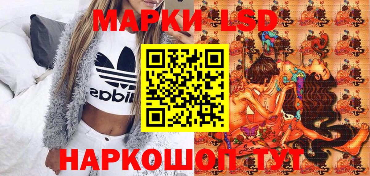Марки N-bome 1500мкг  Марки N-bome 1500мкг  Вход с VPN  Лесной 