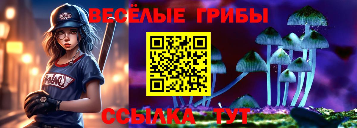 Галлюциногенные грибы Psilocybine cubensis  Вход с VPN  Лесной  Псилоцибиновые грибы Magic Shrooms 